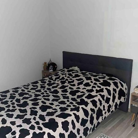 Meyzieu : Superbe Appartement Tres Cosy. Мезье Экстерьер фото